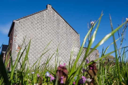 Gras en paarse bloemen op de voorgrond met een grijze muur en blauwe lucht op de achtergrond. (vergroot foto)