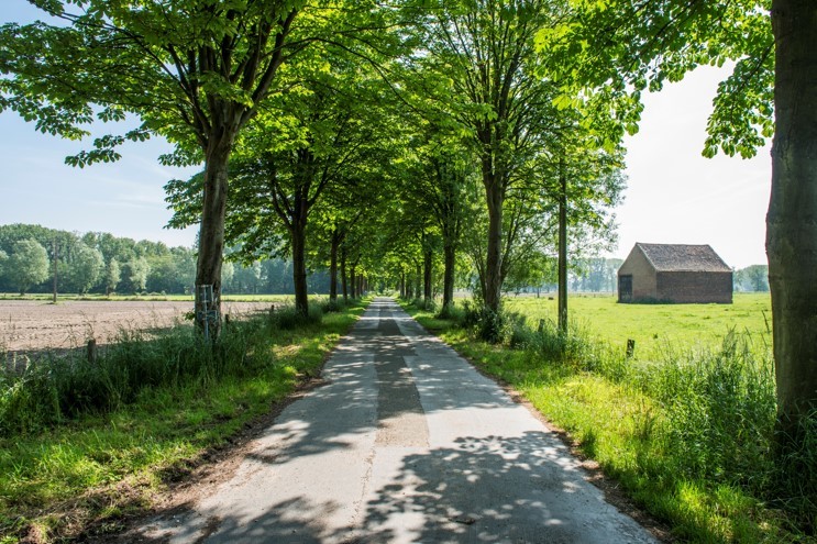 Landschap - Foto: Mie De Backer