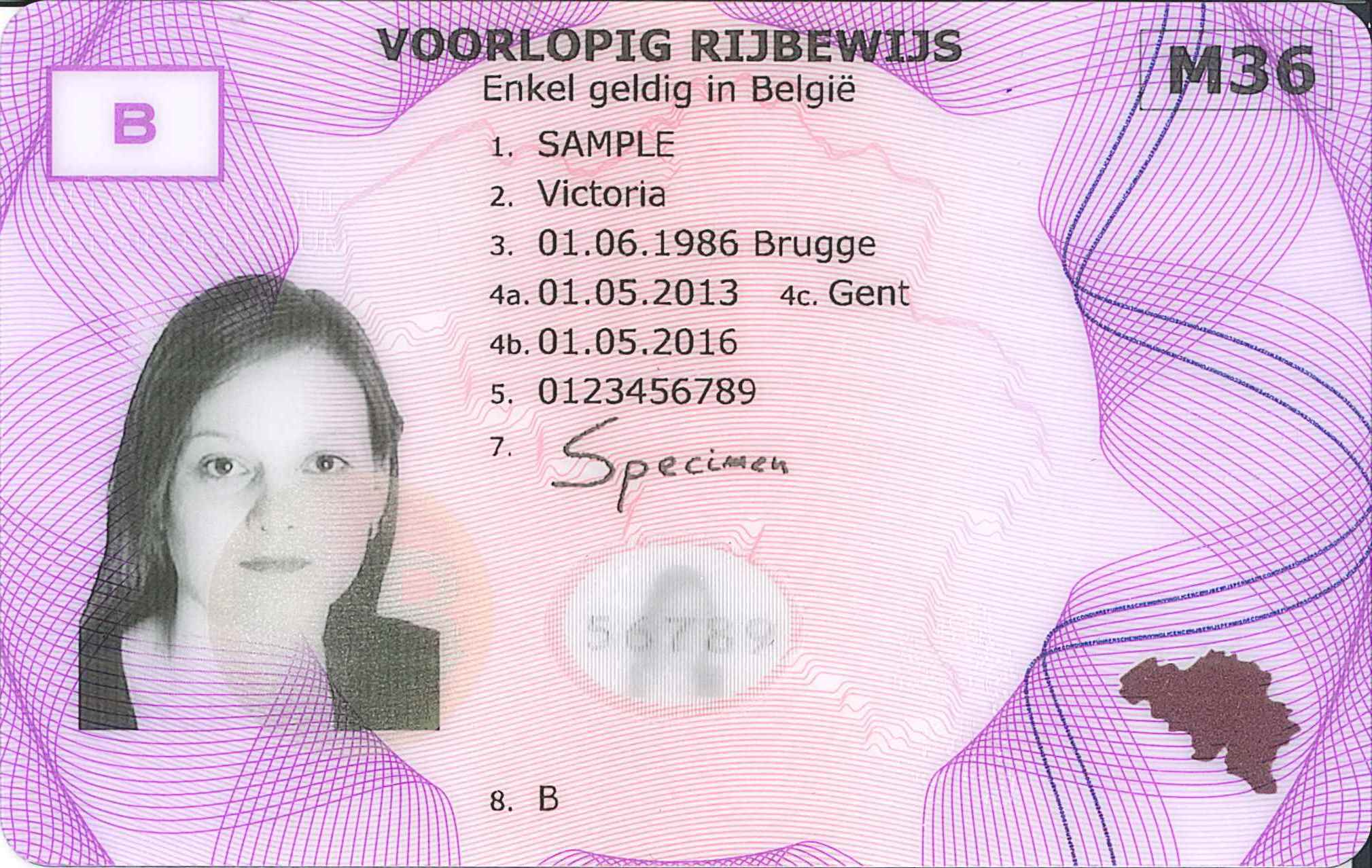 voorlopig rijbewijs