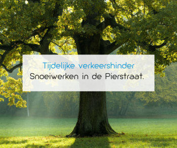 Snoeiwerken Pierstraat