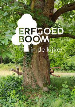 Houtig erfgoed