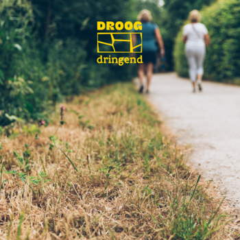 Affiche Droogdringend - Watertips en tekorten