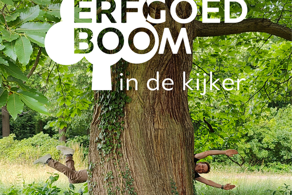 Houtig erfgoed